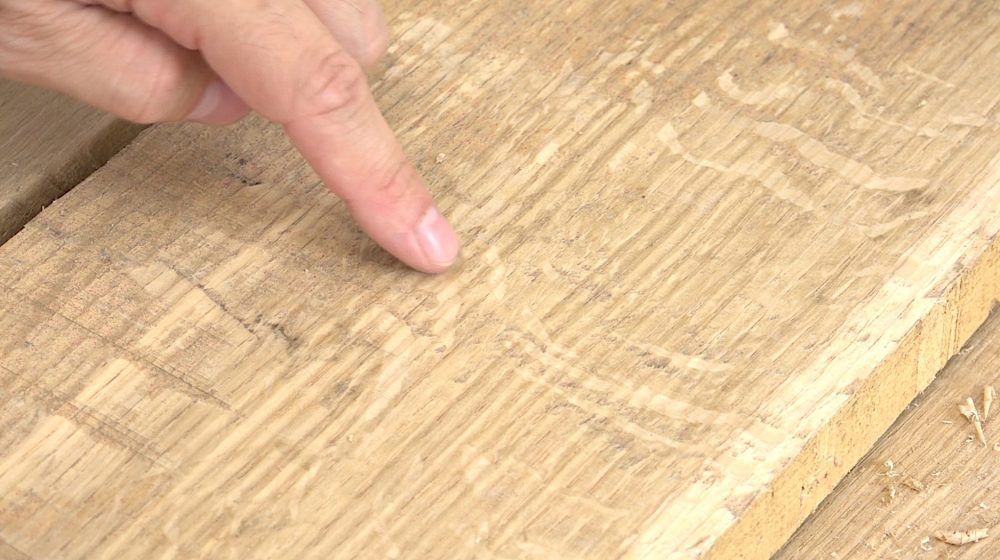 Example of Medullary Rays